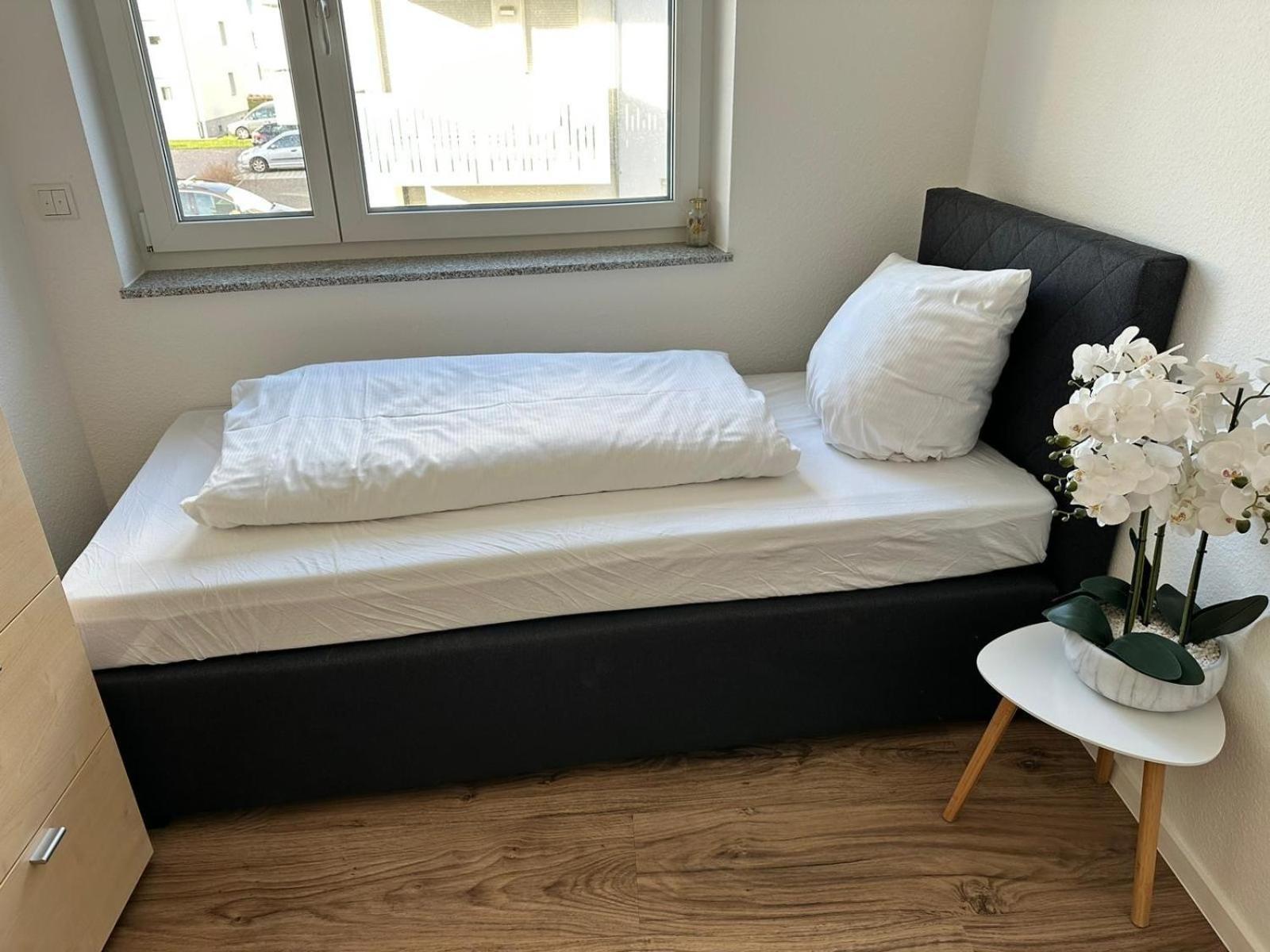 Grosse Cozy 4-Zi-Whg Mit Balkon Naehe Europa Park Und Rulantica Leilighet Lahr  Eksteriør bilde